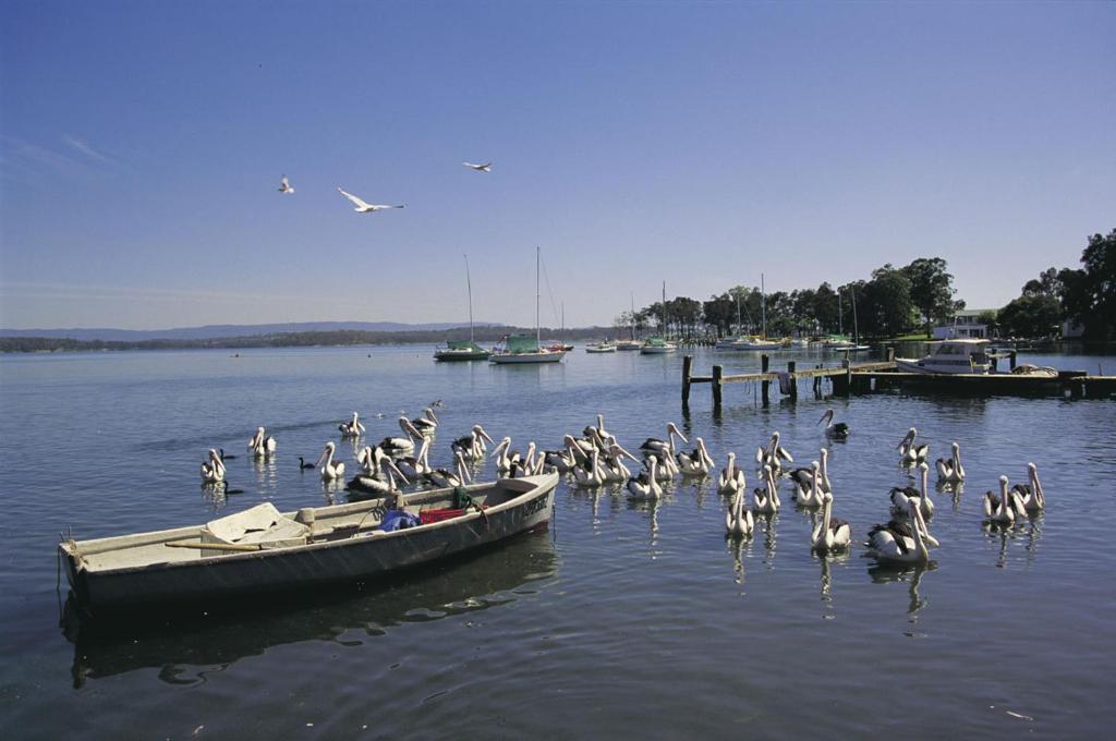Black Swan Waterfront Motel (Adults Only) スワンジー エクステリア 写真